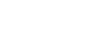 ILLOGIC_LOGOTYPE_MAX_white-copie-2