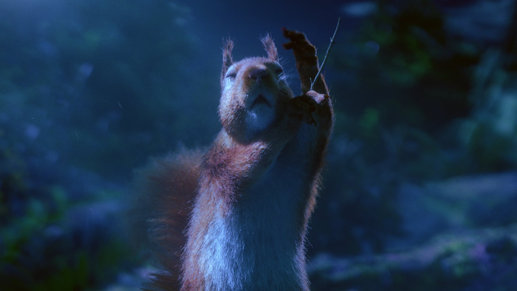 Maestro